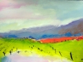 Central Coast Fields