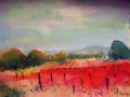 Vineyards
