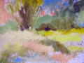 Quaking Aspen