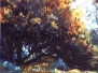 Landscapes in Pastel