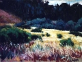 Cambria
